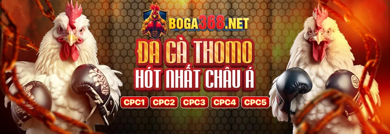 Lịch sử và văn hóa trò chơi poker hiện đại