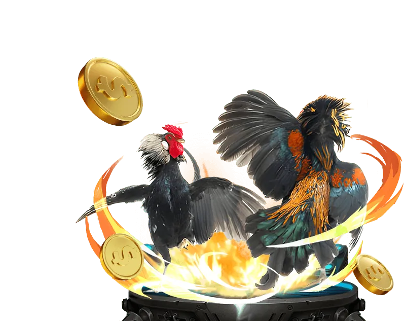 Hình ảnh đá gà trực tuyến tại Win2026